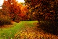 Autumn seasonal scene in Macedonian national park