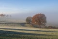 Autumn seasonal scenery in the early cold morning with fog and clear blue sky