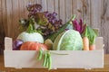 Autumn seasonal vegetables. thanksgiving. new crop, fresh harvest in basket, box on wooden background.