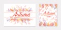 Autumn seasonals postes with leaves and floral elements in fall colors Royalty Free Stock Photo