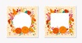 Autumn seasonals templates with leaves and floral elements in fall colors