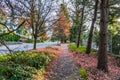 Autumn Seatac Sidewalk 3