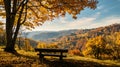 Autumn Serenity: A Peaceful Bench Overlooking a Golden Forest Landscape