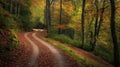 Autumn Serenity A Winding Path Through Golden Woods Royalty Free Stock Photo