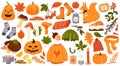 Autumn set with acorn and edible mushrooms, Halloween pumpkin, orange leaf of maple