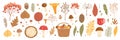 Autumn set. Collection of hand drawn fallen leaves, vegetables, berries, acorns, forest mushrooms, tree branches Royalty Free Stock Photo