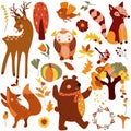 Autumn set, cute woodland animals cute deer, cunning fox, owl and others autumn elements, colored trees, autumn leaves Royalty Free Stock Photo