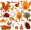 Autumn set,cute woodland animals and elements autumn cute squirrel, cat, hedgehog, bird, colored trees, autumn leaves Royalty Free Stock Photo