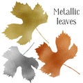 Autumn set of different fall grapevine leaves with golden, silver, bronze textures. Flat lay