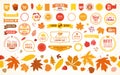 Autumn set, hand drawn elements- calligraphy, fall leaves, sales labels and tags, wreaths, and other.