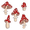 Autumn set of hand drawn toadstool mushrooms