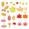 Autumn set with leaves, berries, mushrooms Royalty Free Stock Photo