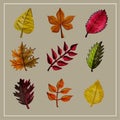 Autumn set of leaves of different trees. Yellow, red, orange, maple, birch, oak. Hand-painted, watercolor. Vector isolated objects Royalty Free Stock Photo