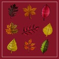 Autumn set of leaves of different trees. Yellow, red, orange, maple, birch, oak. Hand-painted, watercolor. Vector isolated objects Royalty Free Stock Photo