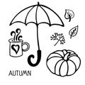 Autumn set. Linear black and white doodle sketch. Pumpkins, leaves, umbrella, berries, hot drink. Hand drawn fall design elements