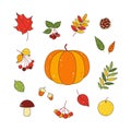 Autumn set of multi-colored leaves, berries, branches, pumpkin Royalty Free Stock Photo