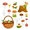 Autumn set of mushrooms, basket, stump, fallen leaves, moss. Edible tasty and toxic. Cartoon vector