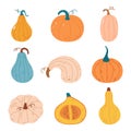 Autumn set with pumpkin of various shapes Royalty Free Stock Photo