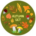 Autumn set, vector illustration, leaves, berries, mushrooms, acorns Royalty Free Stock Photo