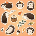 Autumn set of vector stickers with forest cartoon cute hedgehog, basket with wild mushrooms, apples and twigs with Royalty Free Stock Photo