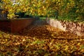 Autumn shadows and leaves on the old coach bridge