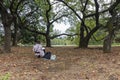 Autumn in Shinjuku Gyoen, a large park and garden in Tokyo, Japan