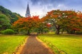 Autumn in the Shinjuku Park, Tokyo