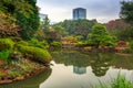 Autumn in the Shinjuku Park