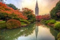 Autumn in the Shinjuku Park, Tokyo