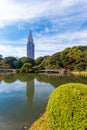 Autumn in the Shinjuku park, Tokyo, Japan. Copy space for text.