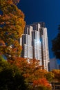 Autumn in Shinjuku