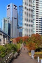 Japanese city autumn - Shiodome Tokyo Royalty Free Stock Photo