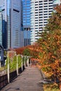 Autumn in Shiodome, Tokyo Royalty Free Stock Photo