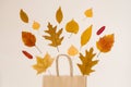 Autumn shopping with discounts. Autumn sales. Crafting beige paper shopping ba