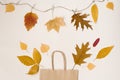 Autumn shopping with discounts. Autumn sales. Kraft beige paper shopping bag, from which look out autumn yellow leaves. Copy space