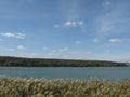 Autumn shore of a large reservoir