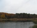 Autumn shore of a small forest lake Royalty Free Stock Photo