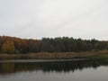 Autumn shore of a small forest lake Royalty Free Stock Photo
