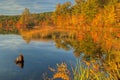 Autumn Shoreline