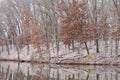 Autumn Shoreline