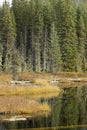 Autumn shoreline of Huff Lake