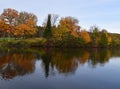 Shore of a north woods lake on a fall morning