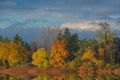 Autumn Shoreline Whitford Lake