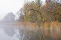 Autumn Shoreline of Whitford Lake in Fog