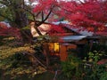 Autumn in Shuzenji