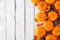 Autumn side border of pumpkins and fall leaves on a rustic white wood background Royalty Free Stock Photo