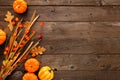 Autumn side border of pumpkins, leaves and Chinese lantern branch against a rustic wood background