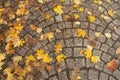 Autumn Sidewalk Texture Background, Yellow Fallen Leaves on Old Pathway with Autumn Leaves and Green Ivy Border Royalty Free Stock Photo