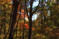 Autumn Scenic Drive along The Blue Ridge Parkway in North Carolina Royalty Free Stock Photo