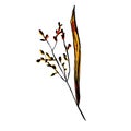 Autumn sketch yellow herb. Vector dried flowers